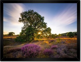 Poszterek keretben 40x30 Tájkép Látvány