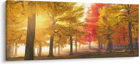 Őszi fák képe (120x50 cm)