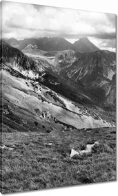 Vászonkép 70x100 Tátra Lengyel hegyek Kilátás