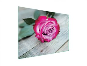 Üveg Tűzhelyvédő Főzőlap 70x52 Rózsa Edzett Üveg