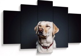 Labrador képe (150x105 cm)
