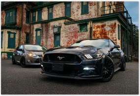 Fotótapéták 200x135 Fekete amerikai szörny