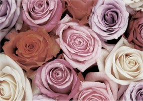 Fotótapéta flizelina Rózsa Virágos lendület és pasztell kert 416x254 +ragasztó