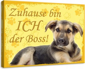 Vászonkép 70x50 Kiskutya kutya házi kedvenc sárga édes mancs lenyomat