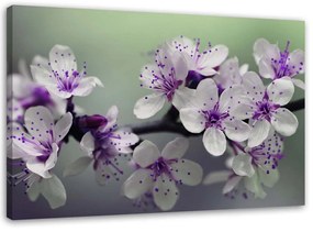 Gario Vászonkép Virágok egy fán Méret: 60 x 40 cm