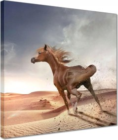 Vászonkép 30x30 Ló Lovak Lovaglás