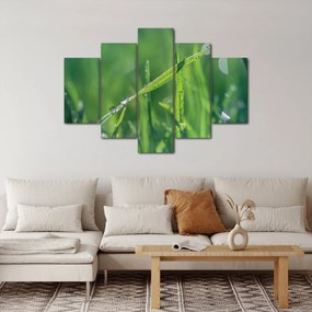 Harmat cseppek képe (150x105 cm)