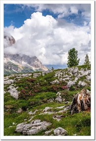 Poszterek keretben 40x60 Bárány a hegyekben Kilátás