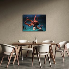 Kép - Octopus (70x50 cm)