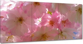 Vászonkép 120x60 Finom virágok