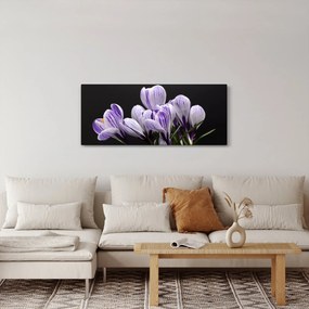 Kép - Lila krókuszok (120x50 cm)