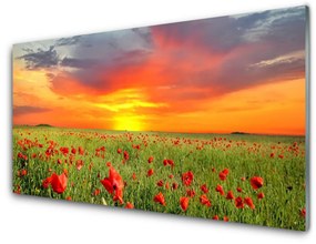 Akril üveg kép Pipacsok Nature Plant Sun 120x60 cm 2 fogas