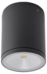 REDO-9599 ETA Szürke színű Kültéri Mennyezeti Lámpa LED 6W IP54