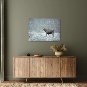 Kép - jávorszarvas egy hóval borított erdőben (üvegen) (70x50 cm)