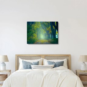 Fákkal szegélyezett út képe (üvegen) (70x50 cm)