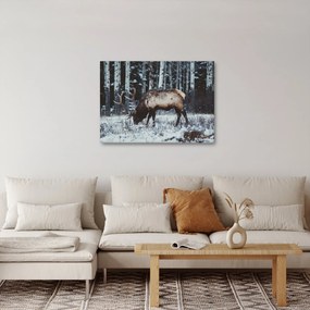 Kép - szarvas télen (70x50 cm)