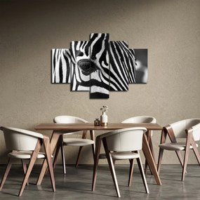 Zebra képe (150x105 cm)