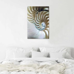 Gario Poszter Egy kagyló belseje A keret színe: Fekete, Méret: 70 x 100 cm