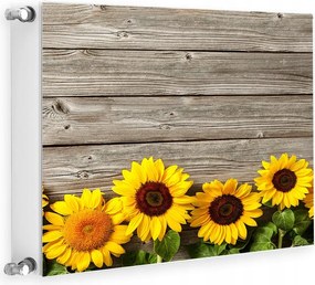 Mágneses Radiátorvédő 60x60 Virágok Fotótapéta