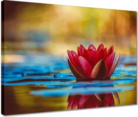 Vászonkép 40x30 Vízi liliom Virág Víz