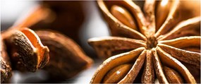 Kép - Anise (120x50 cm)