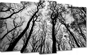 Vászonkép 100x60 Erdő Fák Kilátás alulról