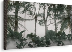 Kép - dzsungel a reggeli ködben (90x60 cm)