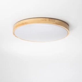 Brilagi - Fényerőszabályozható LED mennyezeti lámpatest PINE LED/24W/230V + távirányító