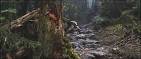 Kép - Az erdőben (120x50 cm)