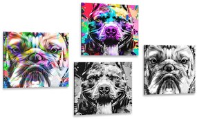 Képszett kutyák pop art stílusban