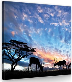Vászonkép 40x40 Naplemente sziluettek szavanna nyugalom afrikai táj