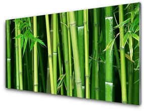 Modern üvegkép Bamboo Bamboo Forest Nature 100x50 cm 4 fogas