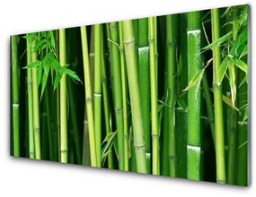 Modern üvegkép Bamboo Bamboo Forest Nature 100x50 cm
