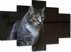 Képek 150x105 Cica Cicák