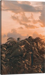 Vászonkép Fák Naplemente Felhők Ég 60x100 cm