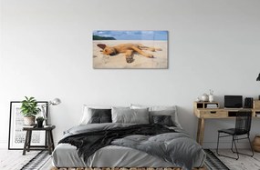 Üvegképek Fekvő kutya strand 120x60cm