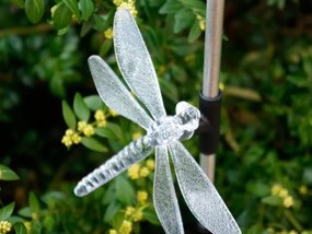 NEXOS Napelemes LED világító szett 6 db