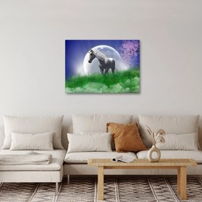 Egyszarvú képe (70x50 cm)