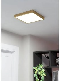 Eglo 900184 - FUEVA mennyezeti LED lámpatest/20,5W/230V