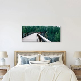 Kép - Híd a fák csúcsán (120x50 cm)