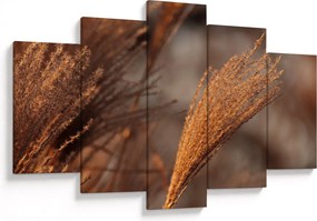 Kép - Cortaderia (150x105 cm)