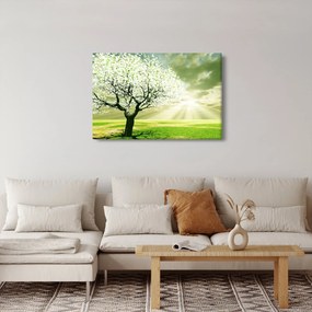 Fa képe a réten (90x60 cm)