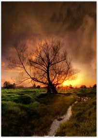 Poszterek A5 Pion Tölgy a croissant-ban Nyugat