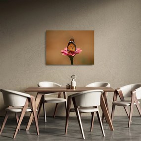Pillangó képe a virágon (üvegen) (70x50 cm)