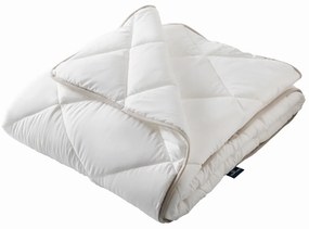 Soft Bamboo Paplan