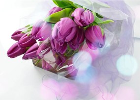 Kép - csokor tulipán (70x50 cm)