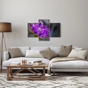 A virág képe (90x60 cm)
