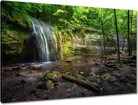 Vászonkép 90x60 Trópusi erdő vízesés