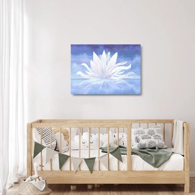Kép - lótuszvirág (üvegen) (70x50 cm)