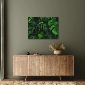 Monstery levelek képe (70x50 cm)